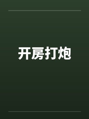 开房打炮