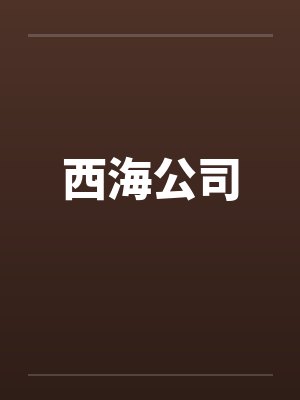西海公司