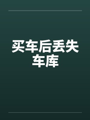 买车后丢失车库