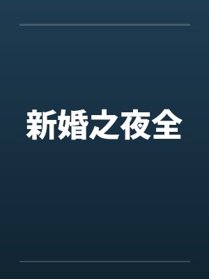 新婚之夜全by佚名