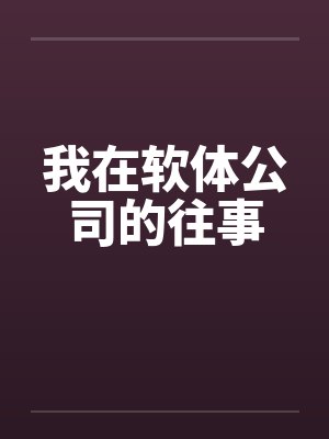 我在软体公司的往事by佚名