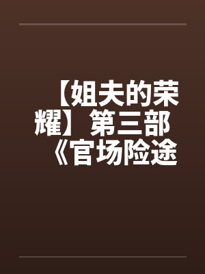 【姐夫的荣耀】第三部《官场险途》特别篇