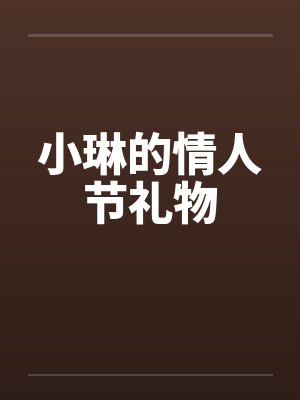 小琳的情人节礼物笔趣阁无弹窗