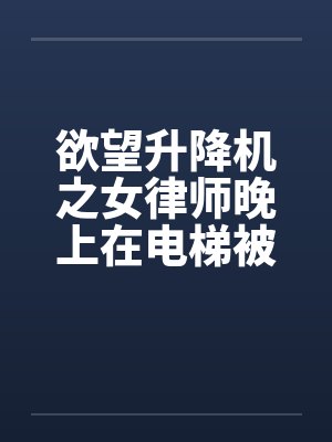 欲望升降机之女律师晚上在电梯被by佚名