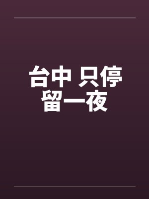 台中 只停留一夜笔趣阁无弹窗