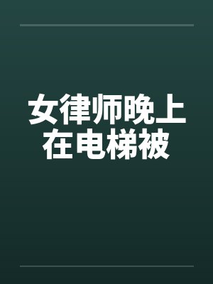 女律师晚上在电梯被by佚名