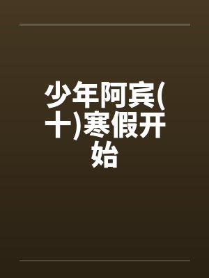 少年阿宾(十)寒假开始by佚名笔趣阁无弹窗