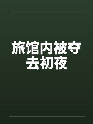 旅馆内被夺去初夜笔趣阁无弹窗