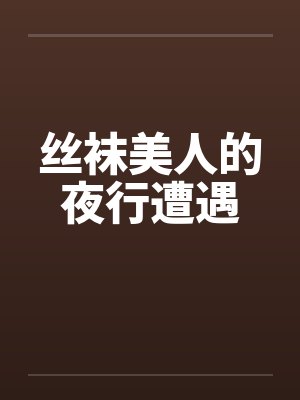 丝袜美人的夜行遭遇