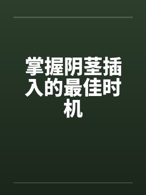 掌握阴茎插入的最佳时机笔趣阁无弹窗