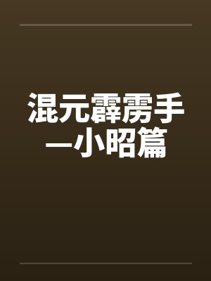 混元霹雳手—小昭篇