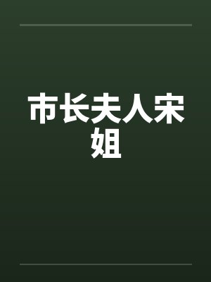 市长夫人宋姐