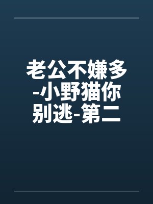 老公不嫌多-小野猫你别逃-第二部 混乱的同居生活 100.没有结果的争论