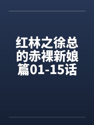 红林之徐总的赤裸新娘篇01-15话by佚名笔趣阁无弹窗