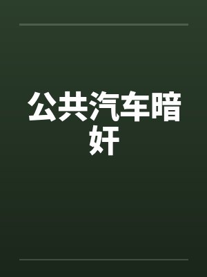 公共汽车暗奸笔趣阁无弹窗