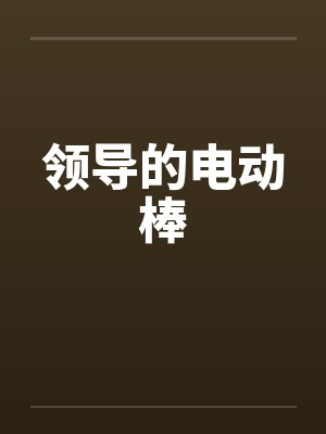 领导的电动棒by佚名