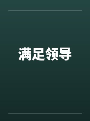 满足领导