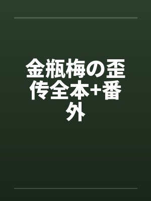 金瓶梅の歪传全本+番外
