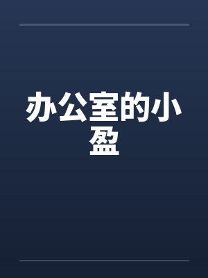 办公室的小盈