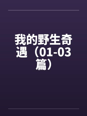 我的野生奇遇（01-03篇）
