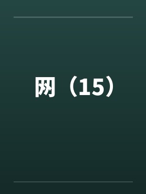 网（15）