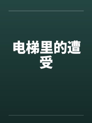 电梯里的遭受by佚名