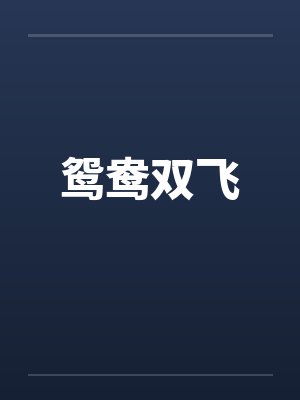 鸳鸯双飞笔趣阁无弹窗