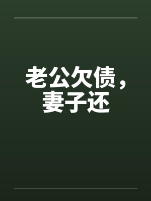 老公欠债,妻子还by佚名笔趣阁无弹窗